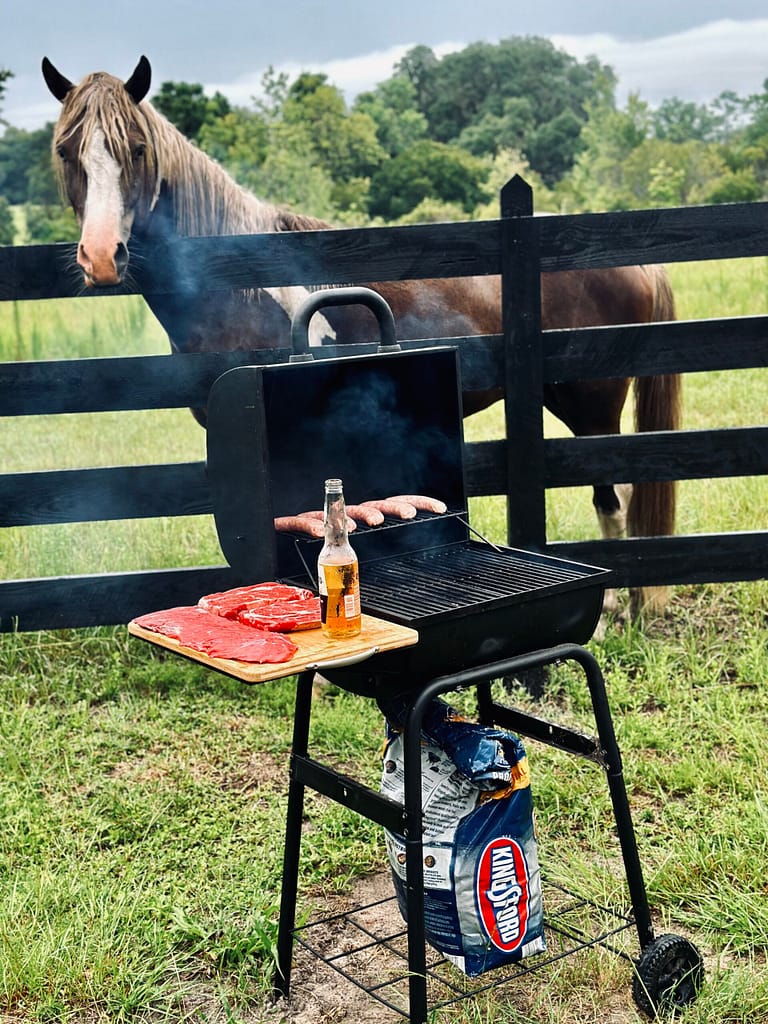 A brown horse stands behind a wooden fence watching a barbecue grill with steaks and a beer bottle on it at Golden Creek Ranch in Florida.